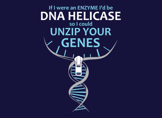 dnahelicase_fullpic