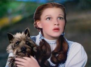 dorothyand toto